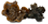 грибы древесные